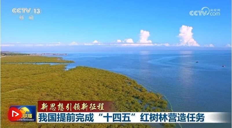 微信截图_20250728112314