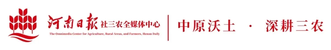 e476d2f9e114d5a565777acd55f0e118_640_wx_fmt=jpeg&from=appmsg&tp=webp&wxfrom=5&wx_lazy=1#imgIndex=0.webp e476d2f9e114d5a565777acd55f0e118_640_wx_fmt=jpeg&from=appmsg&tp=webp&wxfrom=5&wx_lazy=1#imgIndex=0.webp