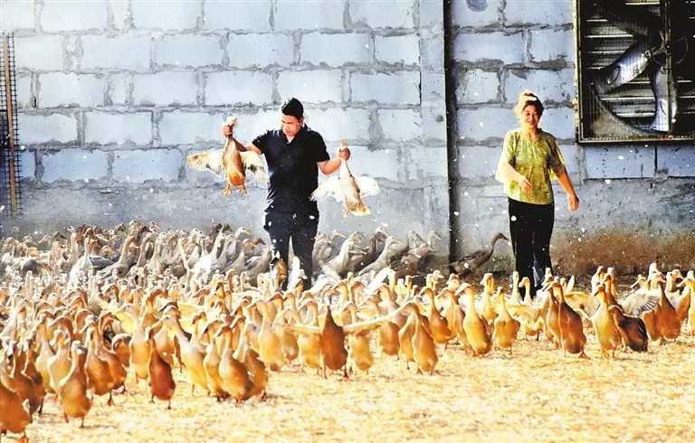 4bfe9e78130a68a8b94934584666e343_640_wx_fmt=jpeg&from=appmsg&tp=webp&wxfrom=5&wx_lazy=1#imgIndex=7.webp 4bfe9e78130a68a8b94934584666e343_640_wx_fmt=jpeg&from=appmsg&tp=webp&wxfrom=5&wx_lazy=1#imgIndex=7.webp