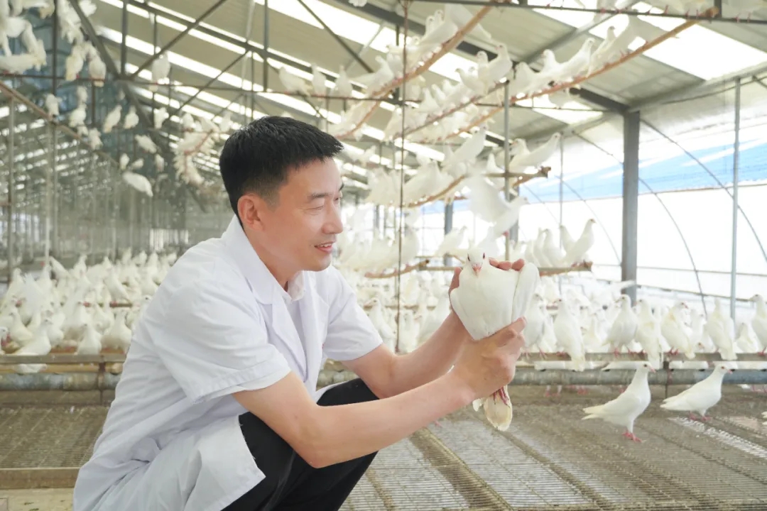 0092436d84e08835f45747456cf70200_640_wx_fmt=jpeg&from=appmsg&tp=webp&wxfrom=5&wx_lazy=1#imgIndex=3.webp 0092436d84e08835f45747456cf70200_640_wx_fmt=jpeg&from=appmsg&tp=webp&wxfrom=5&wx_lazy=1#imgIndex=3.webp