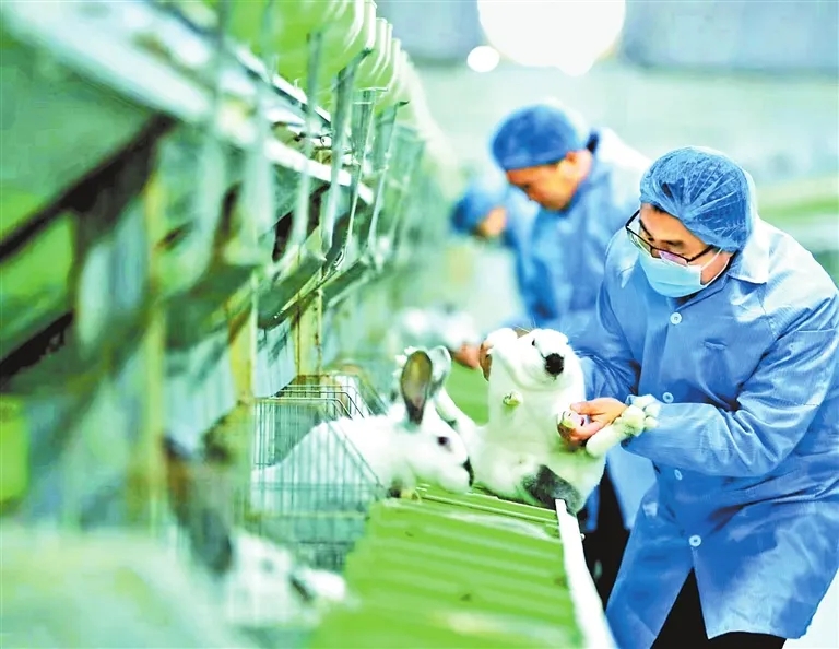 b3024a9a4ab332da64be80e7d96526d1_640_wx_fmt=jpeg&from=appmsg&tp=webp&wxfrom=5&wx_lazy=1#imgIndex=4.webp b3024a9a4ab332da64be80e7d96526d1_640_wx_fmt=jpeg&from=appmsg&tp=webp&wxfrom=5&wx_lazy=1#imgIndex=4.webp