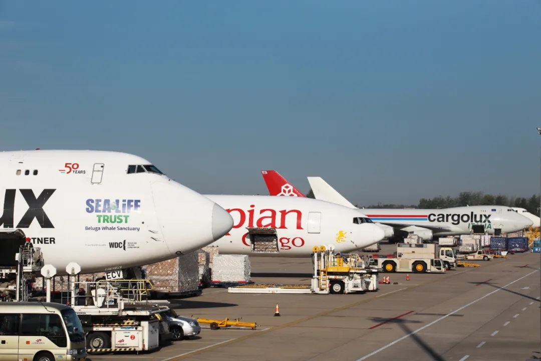 5b8902e4ac8785def3f38147213c06ba_640_wx_fmt=jpeg&from=appmsg&tp=webp&wxfrom=5&wx_lazy=1#imgIndex=5.webp 5b8902e4ac8785def3f38147213c06ba_640_wx_fmt=jpeg&from=appmsg&tp=webp&wxfrom=5&wx_lazy=1#imgIndex=5.webp