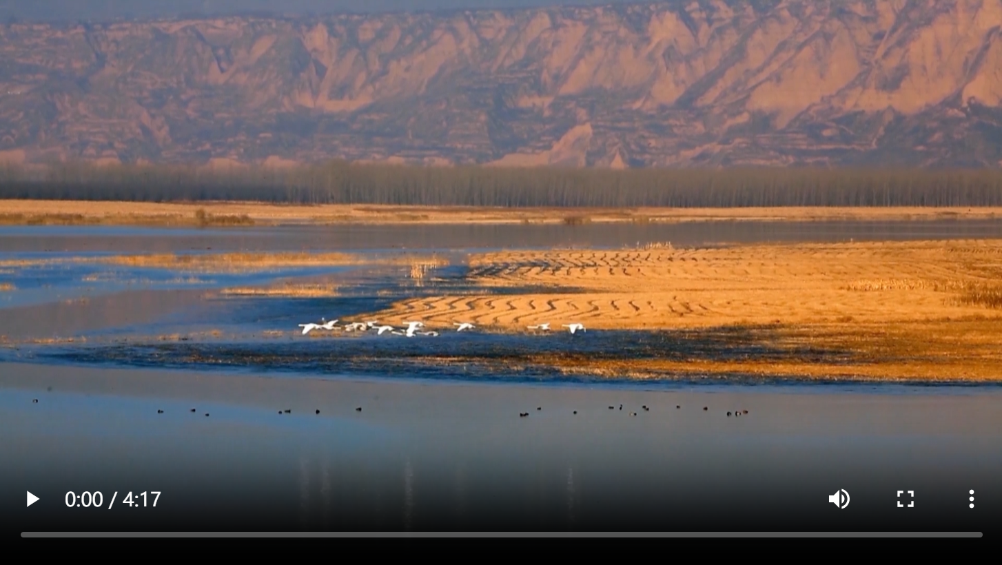 ScreenShot_2025-12-20_201440_898