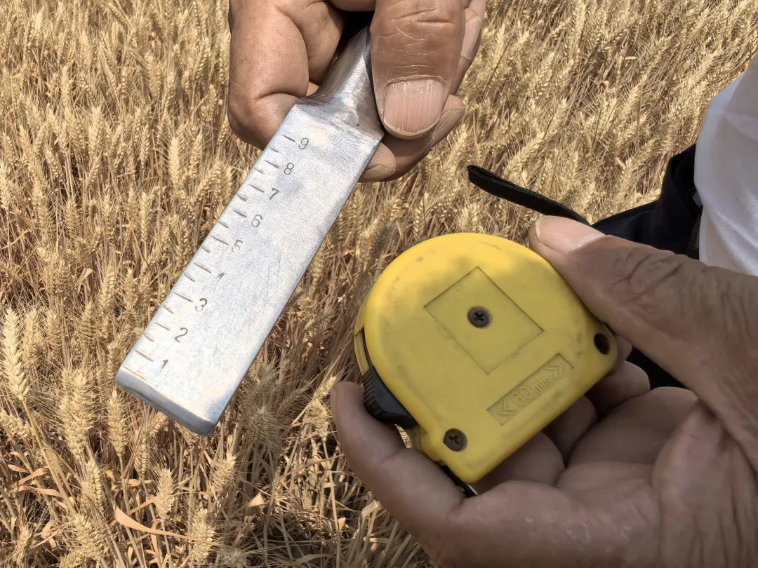 91204f48d30ebae09b8a6986d8c88d7a_640_wx_fmt=jpeg&from=appmsg&tp=webp&wxfrom=5&wx_lazy=1#imgIndex=7.webp 91204f48d30ebae09b8a6986d8c88d7a_640_wx_fmt=jpeg&from=appmsg&tp=webp&wxfrom=5&wx_lazy=1#imgIndex=7.webp