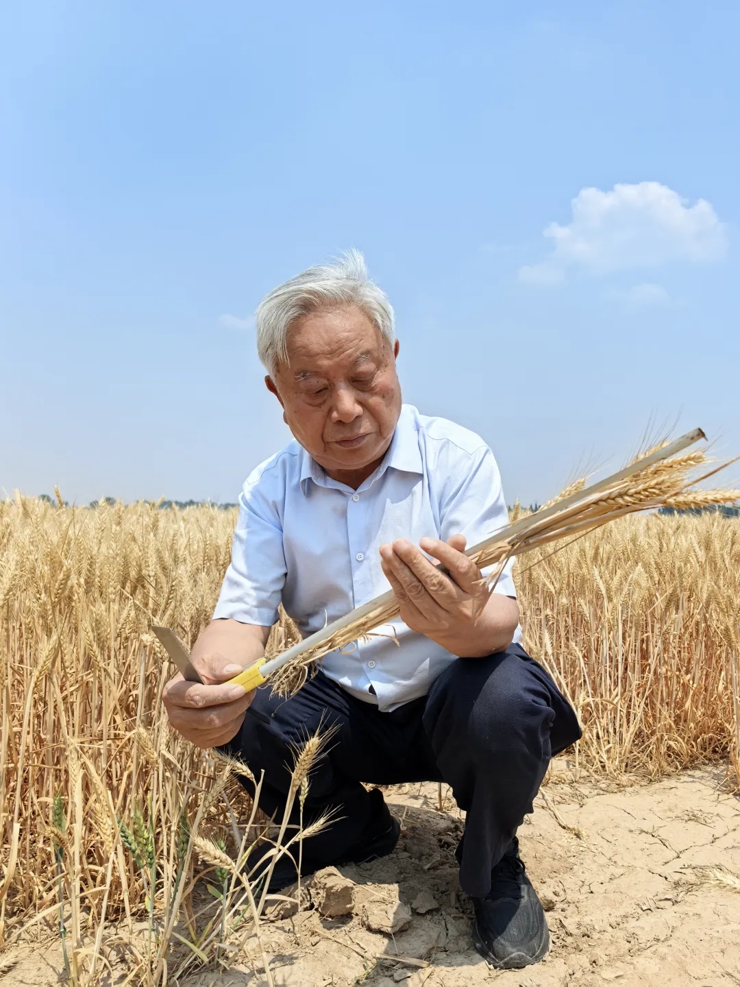 99b409a9e03a63abe6b91ae7c830ceb7_640_wx_fmt=jpeg&from=appmsg&tp=webp&wxfrom=5&wx_lazy=1#imgIndex=3.webp 99b409a9e03a63abe6b91ae7c830ceb7_640_wx_fmt=jpeg&from=appmsg&tp=webp&wxfrom=5&wx_lazy=1#imgIndex=3.webp