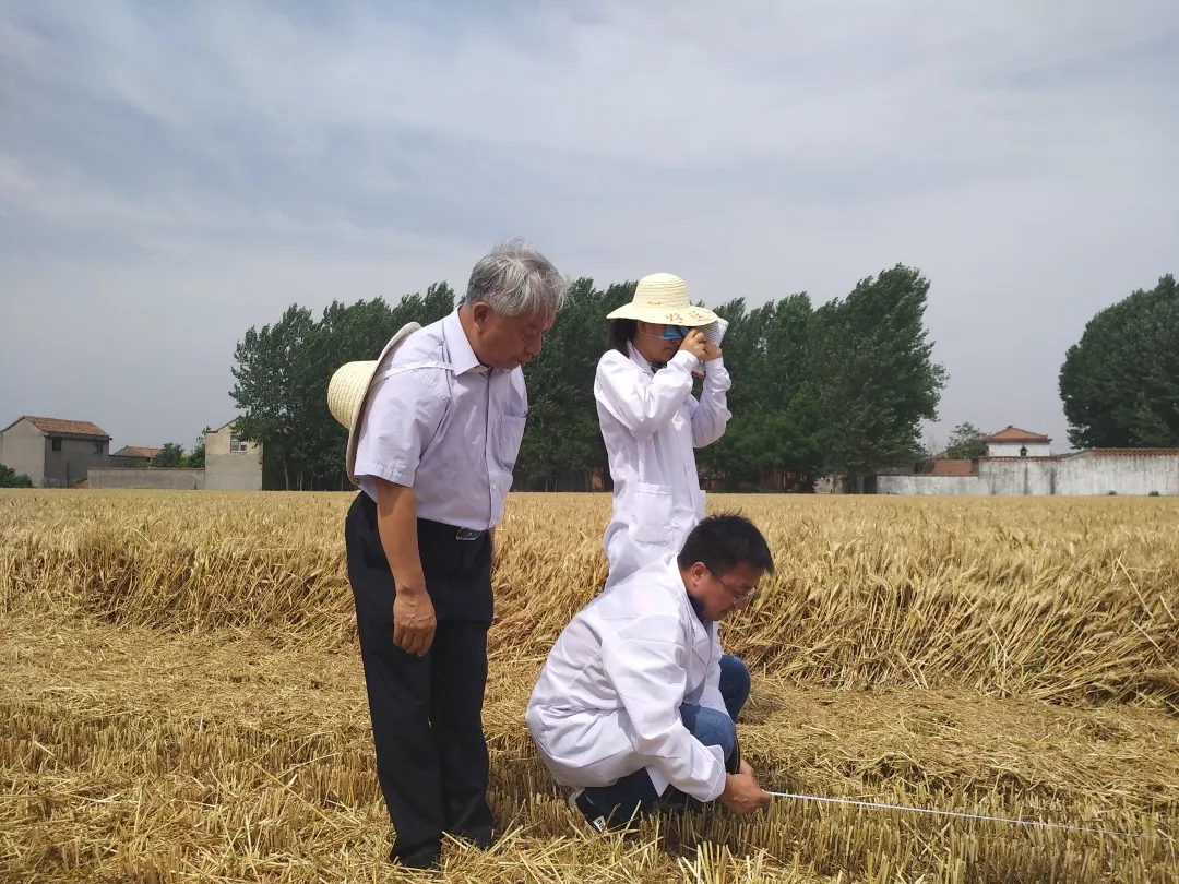 0149817240601037fa0b8e3817e4d03e_640_wx_fmt=jpeg&from=appmsg&tp=webp&wxfrom=5&wx_lazy=1#imgIndex=6.webp 0149817240601037fa0b8e3817e4d03e_640_wx_fmt=jpeg&from=appmsg&tp=webp&wxfrom=5&wx_lazy=1#imgIndex=6.webp