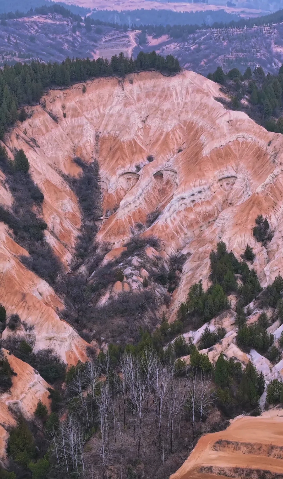 249efbb39dcc5395cf59ee12447e05b9.jpg 249efbb39dcc5395cf59ee12447e05b9.jpg