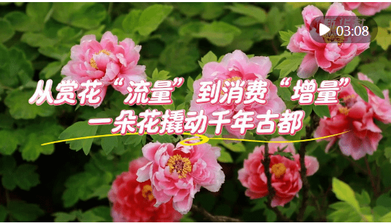 01(1)